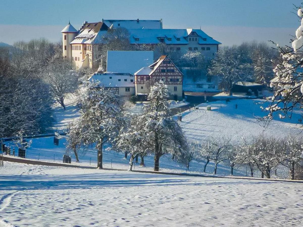 Hotel & Tagungszentrum Schloss Hohenfels Hohenfels  Exterior photo