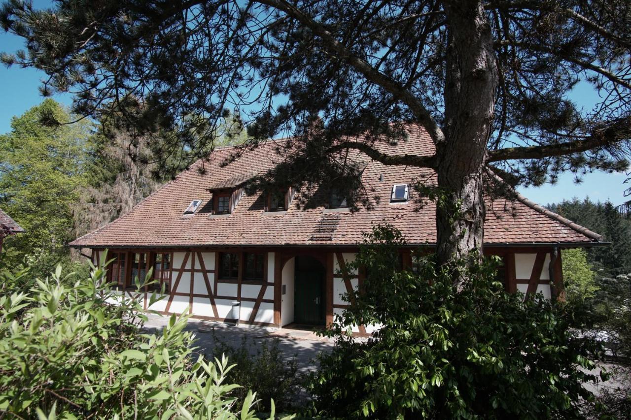 Hotel & Tagungszentrum Schloss Hohenfels Hohenfels  Exterior photo